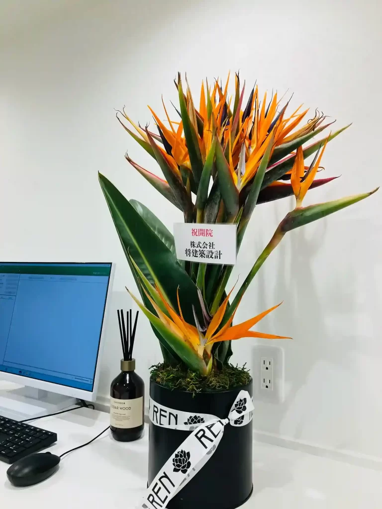 レントゲン室前に並ぶお祝いのお花