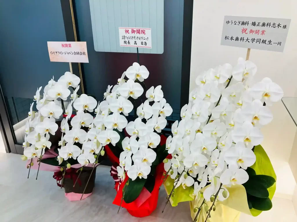 入口前に並ぶお祝いのお花